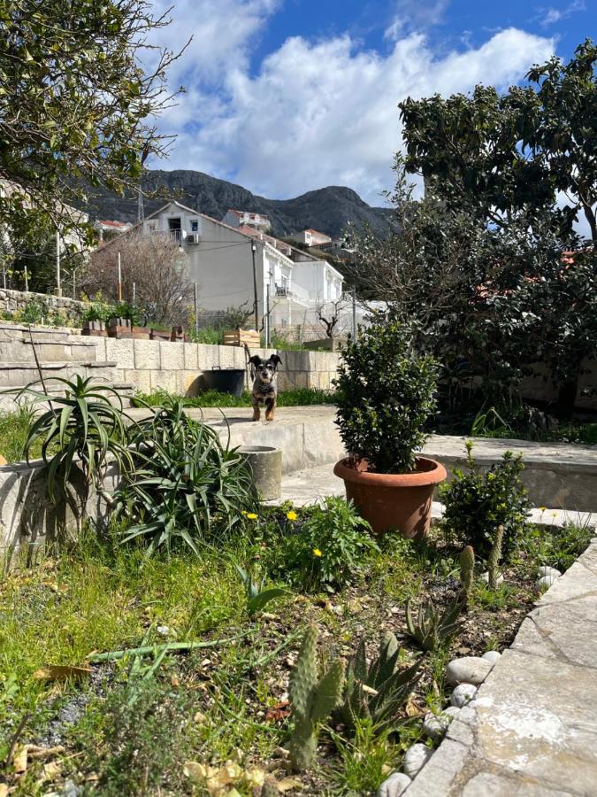 Apartments Cvjetkovic Mlini Eksteriør billede